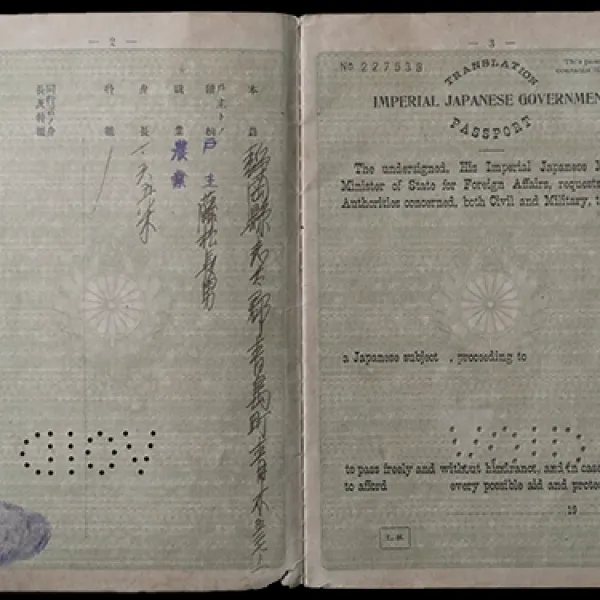 26